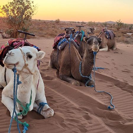 Desert Bivouac Mhamid Екстериор снимка