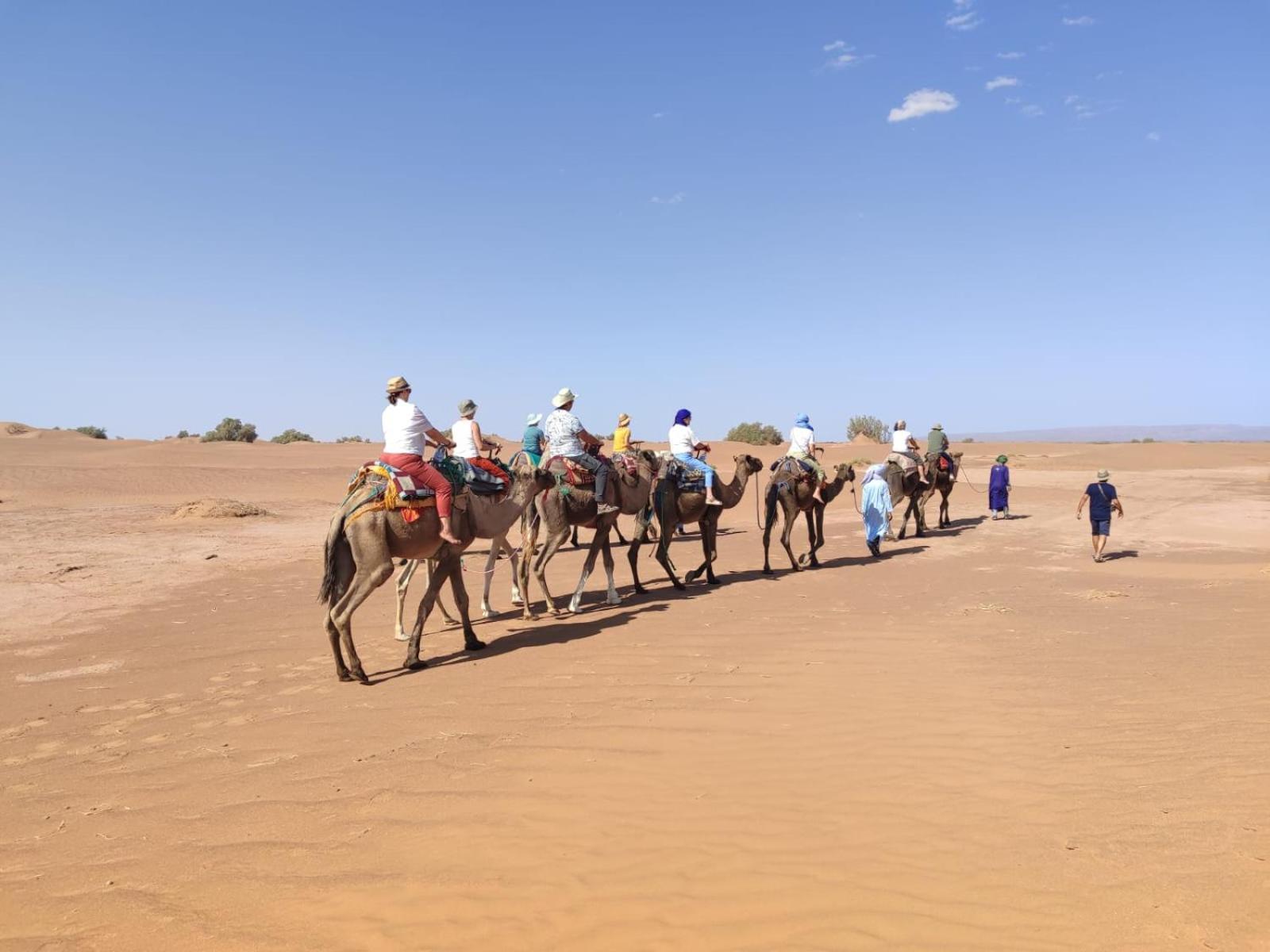 Desert Bivouac Mhamid Екстериор снимка