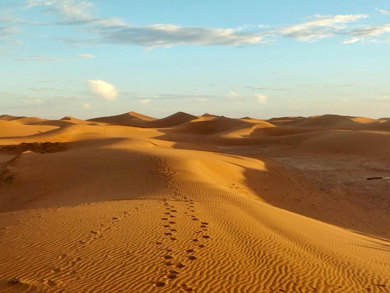 Desert Bivouac Mhamid Екстериор снимка